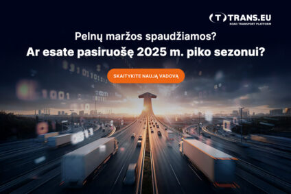 Strategijos Gidas 2025 Piko Sezonui